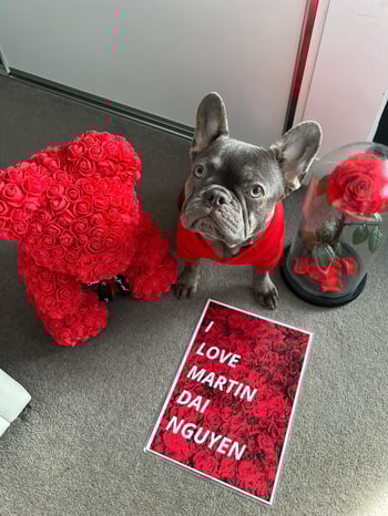 Cute Dog I Love Martin Dai Nguyen Cute Dog I Love Martin Dai Nguyen