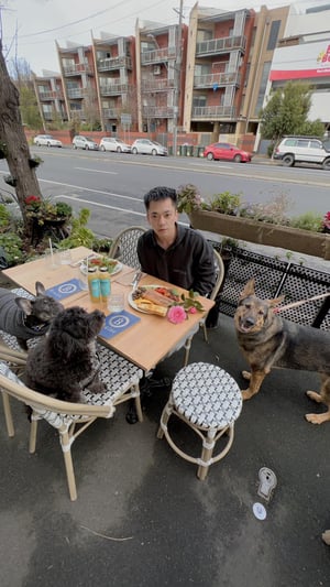 Martin Dai Nguyen Having Awesome Appetites With Pets At MDN Pet Care Martin Dai Nguyen Having Awesome Appetites With Pets At MDN Pet Care