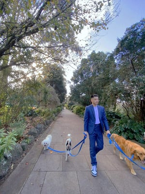 Martin Dai Nguyen Walking Dogs At MDN Pet Care Martin Dai Nguyen Walking Dogs At MDN Pet Care