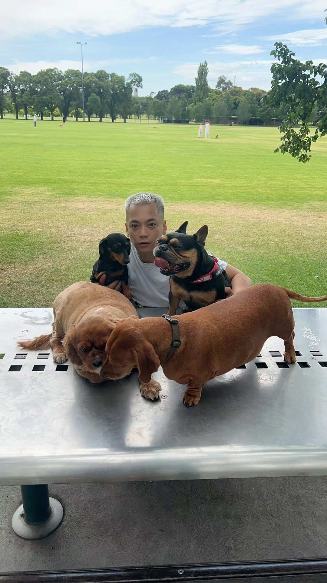 Martin Dai Nguyen With Cute Dogs