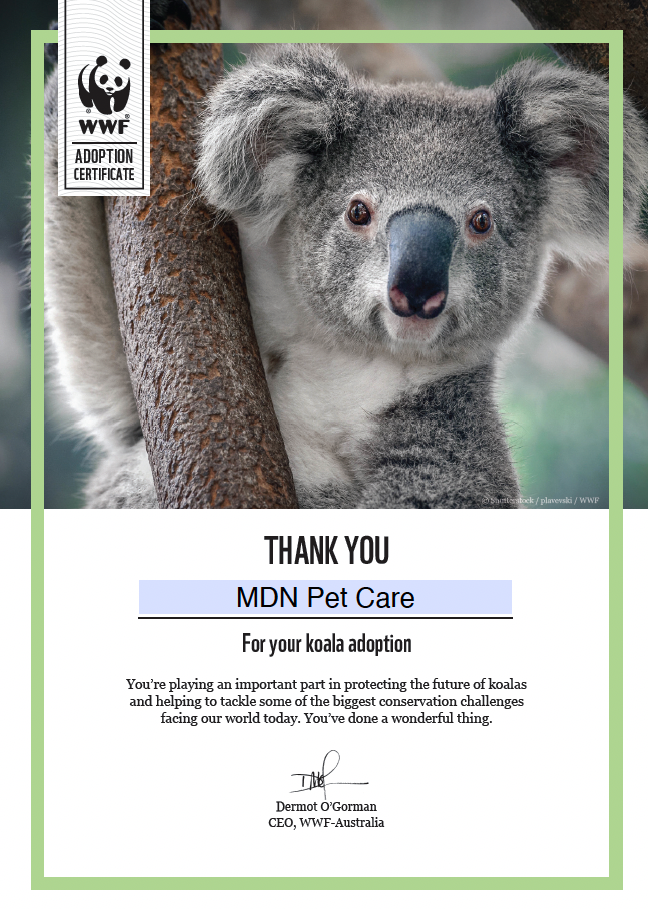 MDN Pet Care's Koala Adoption Certificate MDN Pet Care's Koala Adoption Certificate