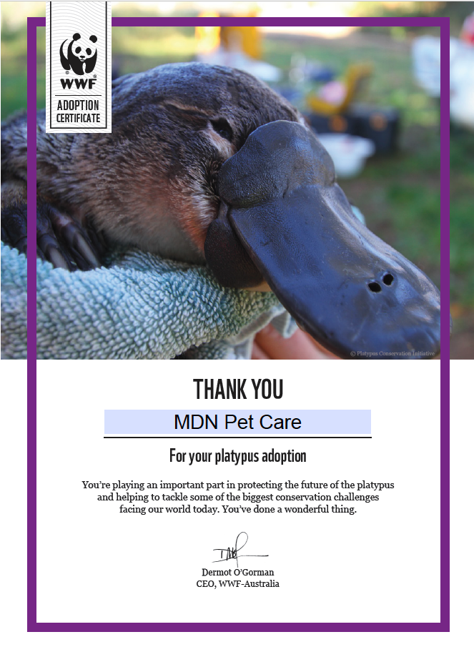 MDN Pet Care's Platypus Adoption Certificate MDN Pet Care's Platypus Adoption Certificate